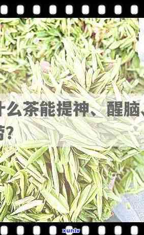 什么茶安神醒脑，寻找安神醒脑茶，哪种茶叶效果？