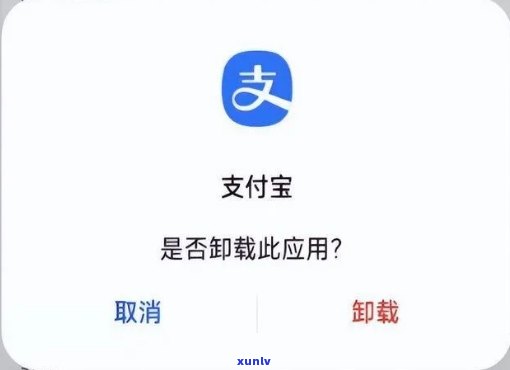 支付宝花呗登不上还不了款？解决方案在这里！