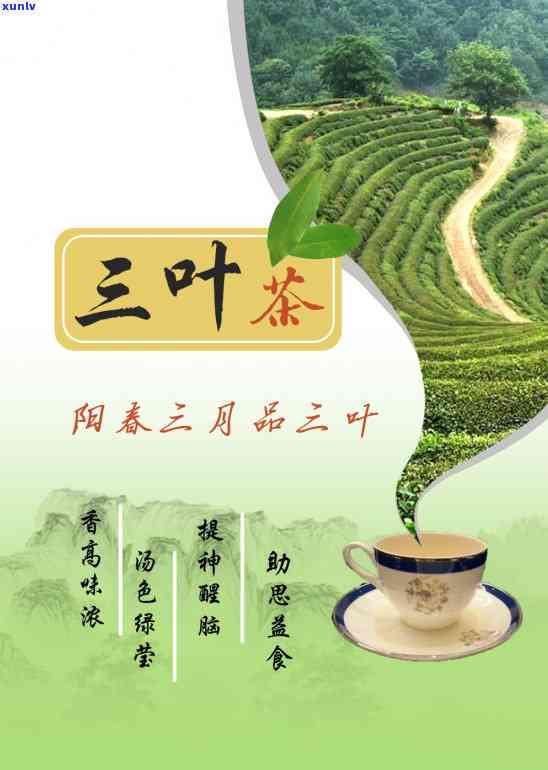 龙泉青瓷茶叶罐-龙泉青瓷茶具