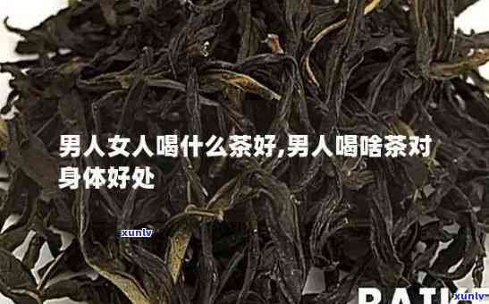 什么茶适合长期喝男人喝的，长期饮用哪种茶对男性最有益？