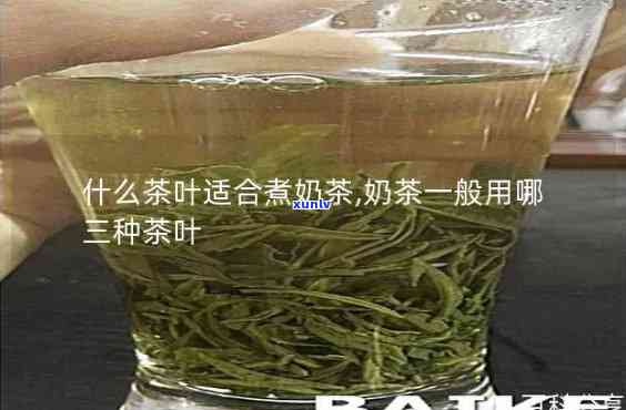 什么茶叶冲奶茶好喝，探寻美味：哪种茶叶最适合冲泡奶茶？