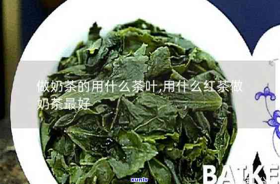 什么茶叶冲奶茶好喝，探寻美味：哪种茶叶最适合冲泡奶茶？