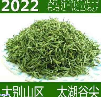 太湖谷尖茶：什么茶类？