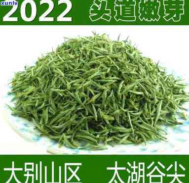 太湖谷尖茶是什么茶-太湖谷尖茶是什么茶种