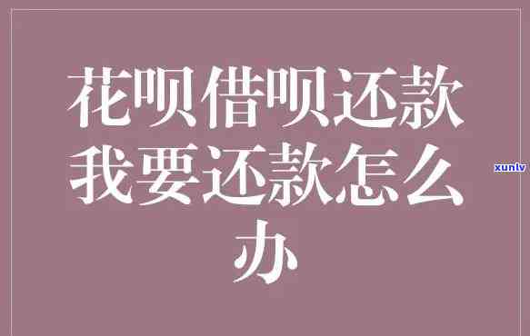 怎样解决花呗借呗还款疑问？