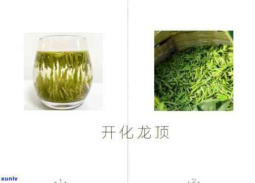 开化龙顶什么档次，探秘开化龙顶：一款茶叶的品质与地位解析