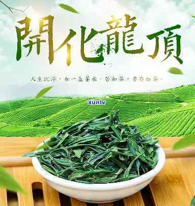 开化龙顶属于什么茶种，探索美味：揭秘开化龙顶的茶种身份