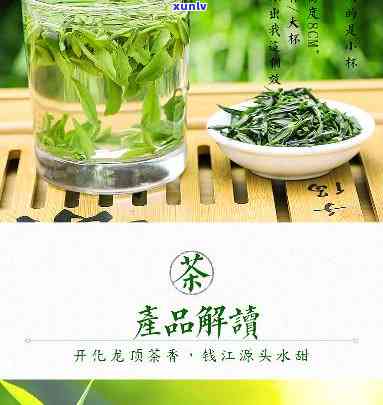 开化龙顶属于什么茶种，探索美味：揭秘开化龙顶的茶种身份