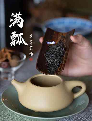 小红泥适合泡什么茶喝，探索美味：小红泥与各种茶叶的完美搭配