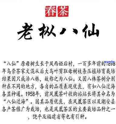 乌东老仙价格是多少？乌岽老仙是什么茶？