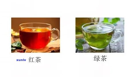 红茶搭配什么喝减肥？探讨组合及效果