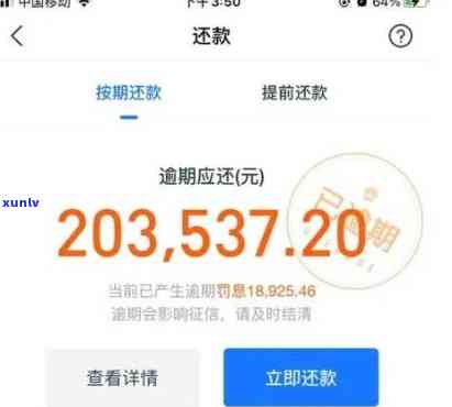 借呗11万还不起了什么结果，深陷困境：借呗欠款11万无法偿还，可能面临的严重结果