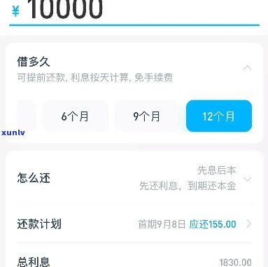 欠借呗11万还不上怎么办呀-欠借呗11万还不上怎么办呀怎么解决