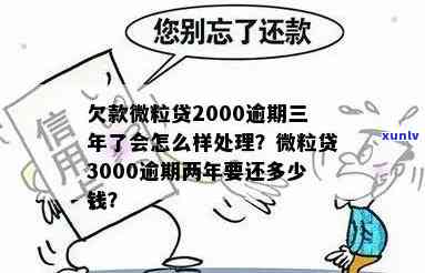 欠20万每月3000工资，怎样应对？