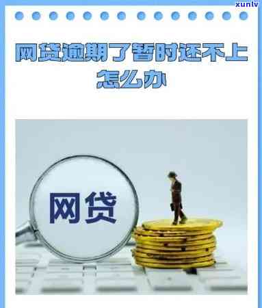 鸳鸯吊坠可以戴吗？寓意、作用及图片解析