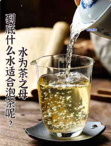 80度的水泡什么茶，80℃水冲泡，品味不一样的茶叶香！