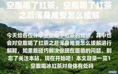 江门新会小青柑批发-江门新会小青柑场