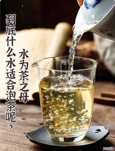 什么水泡茶喝，探索茶叶伴侣：什么水最适合泡茶？