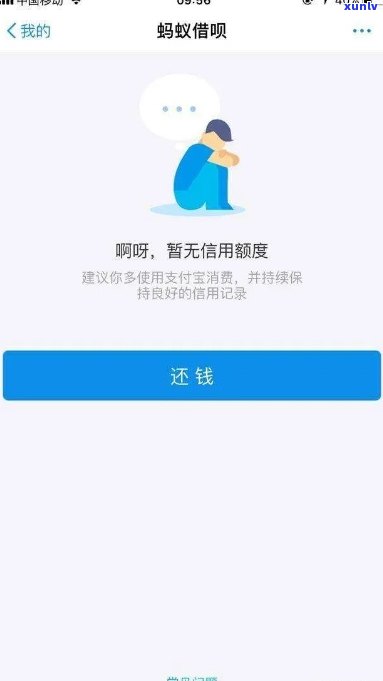 有网商贷就不存在借呗吗？两者有何关联？