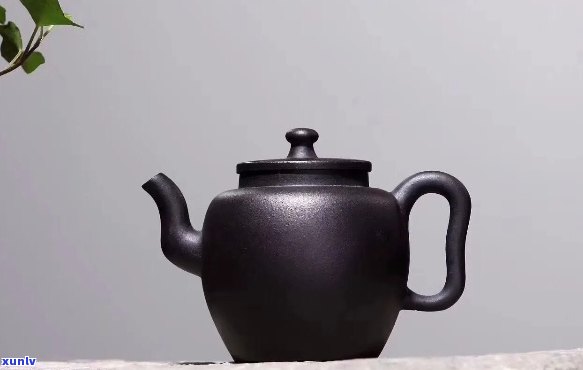 墨绿泥适合泡什么茶水？探讨其搭配与效果