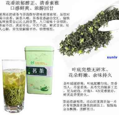 碧潭飘雪属于什么茶系？详解其品种与特点