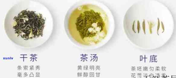 碧潭飘雪属于什么茶系？详解其品种与特点