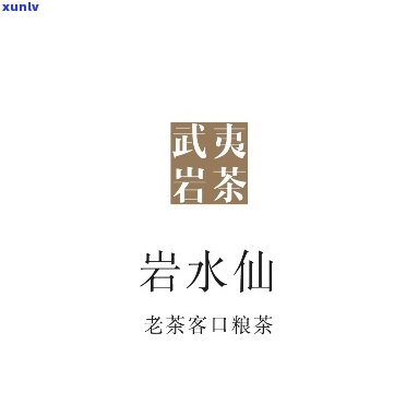 茗必武夷：寻味最正宗的岩茶与茶具