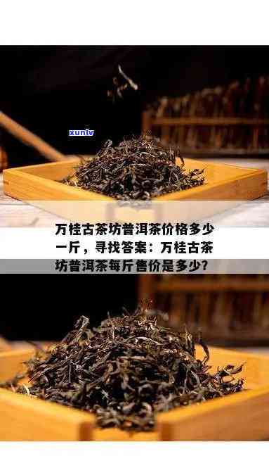 万古山水茶是什么茶种，揭秘万古山水茶：这是一种什么茶种？