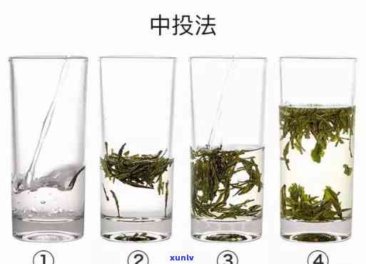 水能泡什么茶？详细解答常见茶叶的冲泡 *** 