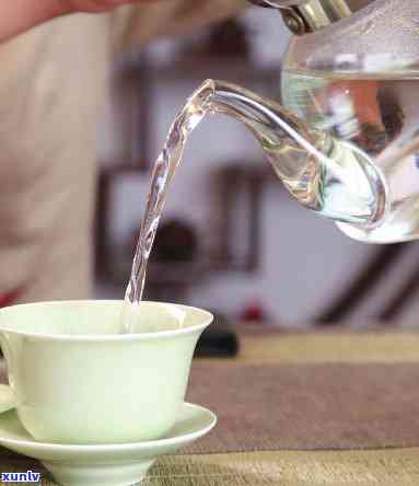 开水可以泡什么茶-开水可以泡什么茶喝