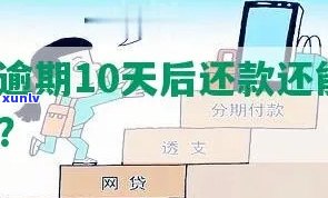 白天逾期10天的解决方法是什么？