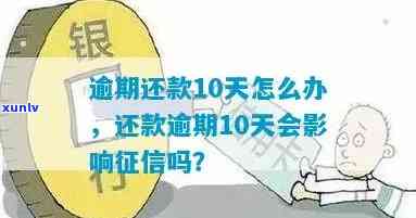 白天逾期10天会怎样-白天逾期10天会怎样呢