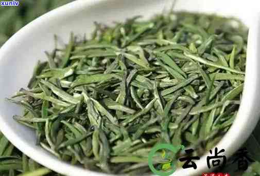 贵州翠芽属于什么茶-贵州翠芽属于什么茶类