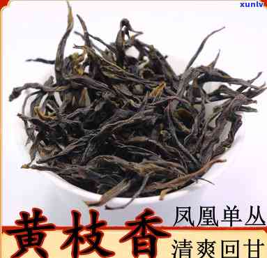 凤凰黄枝香是什么茶？探讨其所属茶类与品种