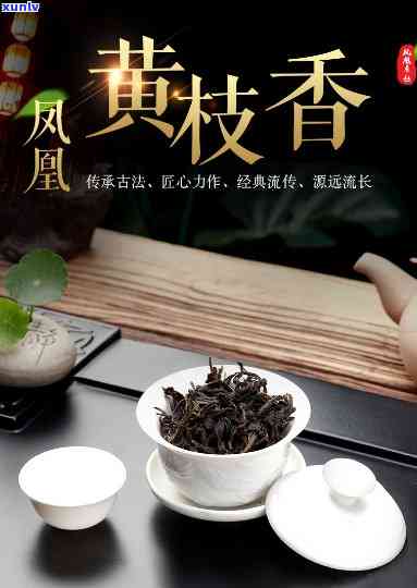 凤凰黄枝香是什么茶？探讨其所属茶类与品种