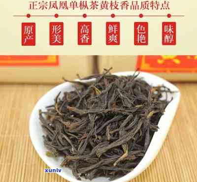 凤凰黄枝香是什么茶-凤凰黄枝香是什么茶叶