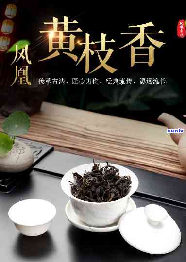 凤凰黄枝香是什么茶-凤凰黄枝香是什么茶叶