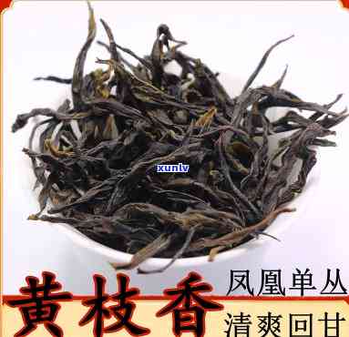 凤凰黄枝香是什么茶-凤凰黄枝香是什么茶叶