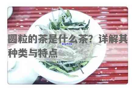 圆颗粒的茶是什么茶-圆颗粒的茶是什么茶叶