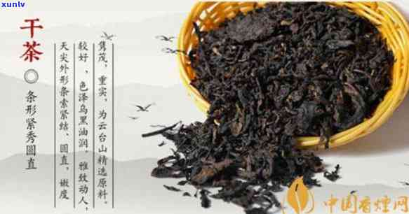 浮贡茶属于什么茶-浮贡茶属于什么茶类