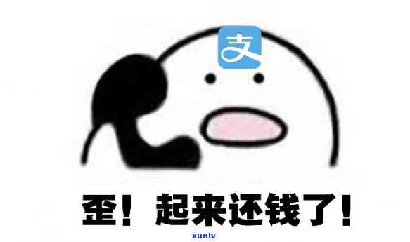 不还省呗的钱会怎么样-不还省呗的钱会怎么样吗