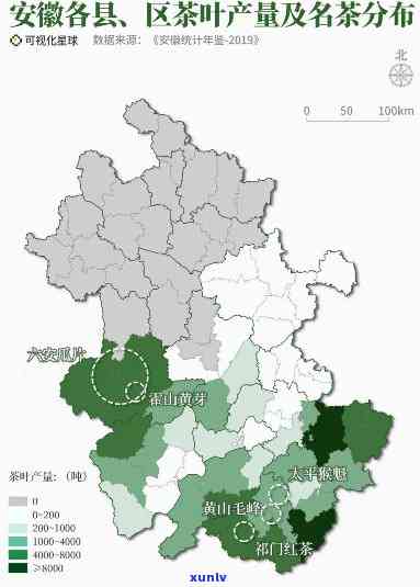 安徽主产什么茶？详解该省主要茶叶品种及其特点