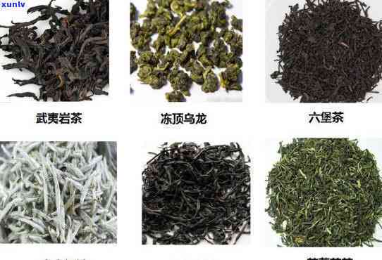 长沙著名茶叶种类大盘点：哪些茶最有名气？