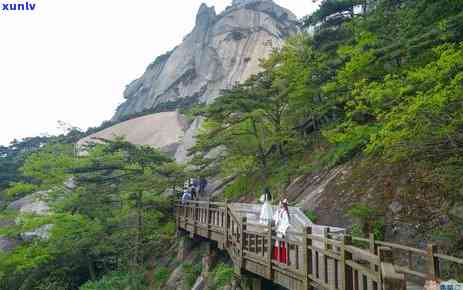 黄山有什么茶最出名的地方，黄山，中国名山之一，位于安徽省南部。这座山以其美丽的自然风光和独特的茶叶而闻名于世。以下是关于黄山有哪些最出名的茶的详细介绍：nn1. 黄山毛峰：黄山毛峰是安徽黄山特产的一种绿茶。这种茶叶以其细嫩的芽叶、翠绿的颜色和浓的香气而受到赞誉。它的 *** 过程包括摘取、杀青、揉捻和干燥等步骤。黄山毛峰通常在春采摘，因此其味道更加美。nn2. 黄山云雾：黄山云雾是一种特殊的绿茶，也是黄山的茶叶之一。这种茶叶以其淡淡的绿色和轻盈的口感而受到赞誉。它是在高海拔地区生长的茶叶，其叶子比较薄，形状像云朵一样。nn3. 茸茶：茸茶是一种特别的茶叶，它是以茸为原料制成的。这种茶叶具有清热解、滋阴降火的功效，同时还有助于提高免疫力。它适合那些需要调节身体平的人饮用。nn4. 黄山石崖茶：黄山石崖茶是一种名贵的绿茶，它是在黄山山顶岩石缝中种植的茶叶。这种茶叶的味道非常独特，有淡淡的草香和坚果味。它被认为是一种非常好的保健饮品，有助于增强体质和抵御疾病。nn总的来说，黄山有多种著名的茶叶，每一种都有其独特的风味和功效。无论是绿茶还是红茶，都是值得尝试的美味佳品。如果你有机会到访黄山，一定要品尝一下当地的茶叶，感受它们的独特魅力。