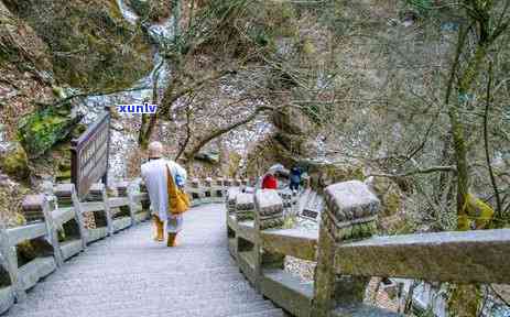 黄山有什么茶最出名的地方，黄山，中国名山之一，位于安徽省南部。这座山以其美丽的自然风光和独特的茶叶而闻名于世。以下是关于黄山有哪些最出名的茶的详细介绍：nn1. 黄山毛峰：黄山毛峰是安徽黄山特产的一种绿茶。这种茶叶以其细嫩的芽叶、翠绿的颜色和浓的香气而受到赞誉。它的 *** 过程包括摘取、杀青、揉捻和干燥等步骤。黄山毛峰通常在春采摘，因此其味道更加美。nn2. 黄山云雾：黄山云雾是一种特殊的绿茶，也是黄山的茶叶之一。这种茶叶以其淡淡的绿色和轻盈的口感而受到赞誉。它是在高海拔地区生长的茶叶，其叶子比较薄，形状像云朵一样。nn3. 茸茶：茸茶是一种特别的茶叶，它是以茸为原料制成的。这种茶叶具有清热解、滋阴降火的功效，同时还有助于提高免疫力。它适合那些需要调节身体平的人饮用。nn4. 黄山石崖茶：黄山石崖茶是一种名贵的绿茶，它是在黄山山顶岩石缝中种植的茶叶。这种茶叶的味道非常独特，有淡淡的草香和坚果味。它被认为是一种非常好的保健饮品，有助于增强体质和抵御疾病。nn总的来说，黄山有多种著名的茶叶，每一种都有其独特的风味和功效。无论是绿茶还是红茶，都是值得尝试的美味佳品。如果你有机会到访黄山，一定要品尝一下当地的茶叶，感受它们的独特魅力。