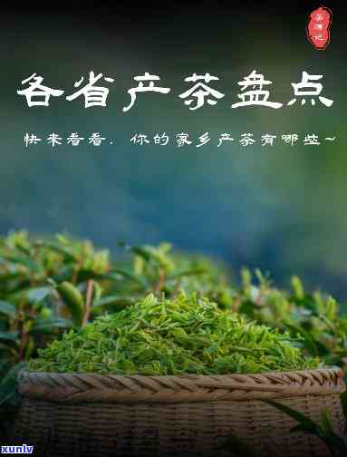 雅安产什么茶？揭秘雅安更具特色的茶叶品种