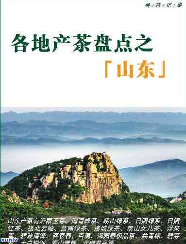 山东什么茶比较出名又好喝，推荐品尝：山东十大好茶，口感香醇，值得一试！