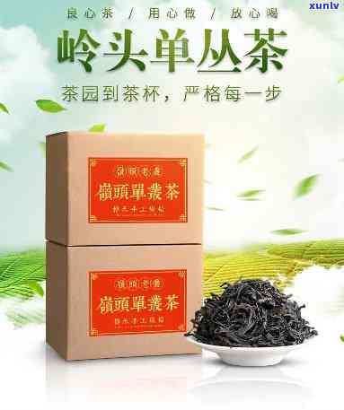 岭头单机属于什么茶-岭头单丛茶是什么茶