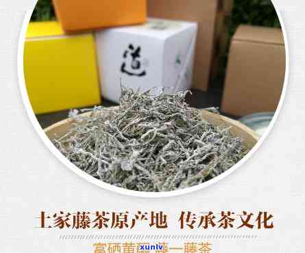 来凤藤茶属于什么茶-来凤藤茶属于什么茶系