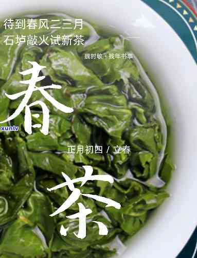 春适合饮用什么茶-春适合饮用什么茶叶